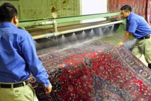 Rug Cleaning Ottawa